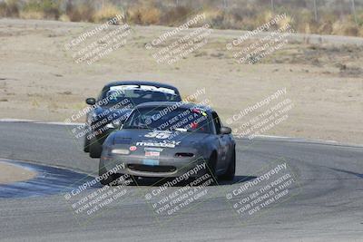 media/Nov-04-2023-CalClub SCCA (Sat) [[cb7353a443]]/Group 3/Cotton Corners (Race)/